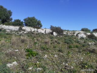 traro-30-12-2021 12-08-11